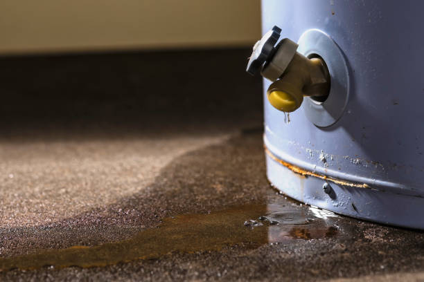 Best Professional water damage repair  in Bonadelle Ranchos, CA