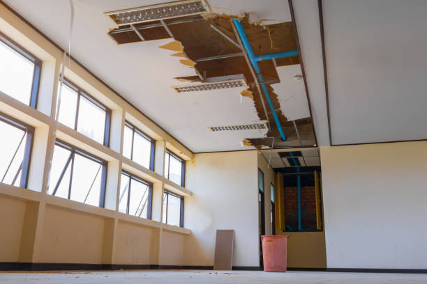 Best Mold removal after water damage  in Bonadelle Ranchos, CA