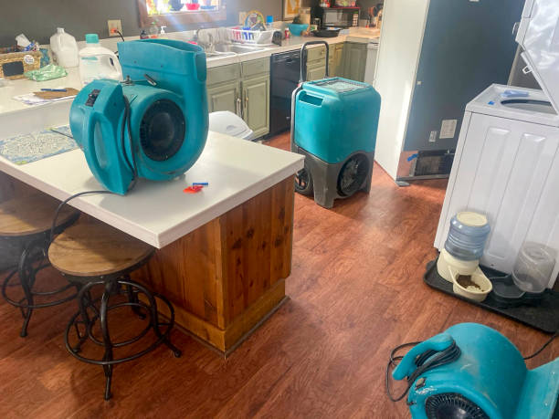 Best Carpet water damage restoration  in Bonadelle Ranchos, CA
