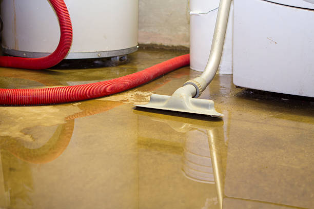 Best Emergency water damage restoration  in Bonadelle Ranchos, CA