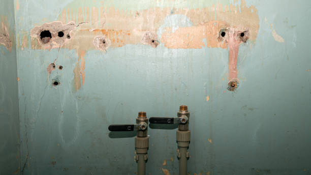 Best Sewage cleanup and water damage restoration  in Bonadelle Ranchos, CA